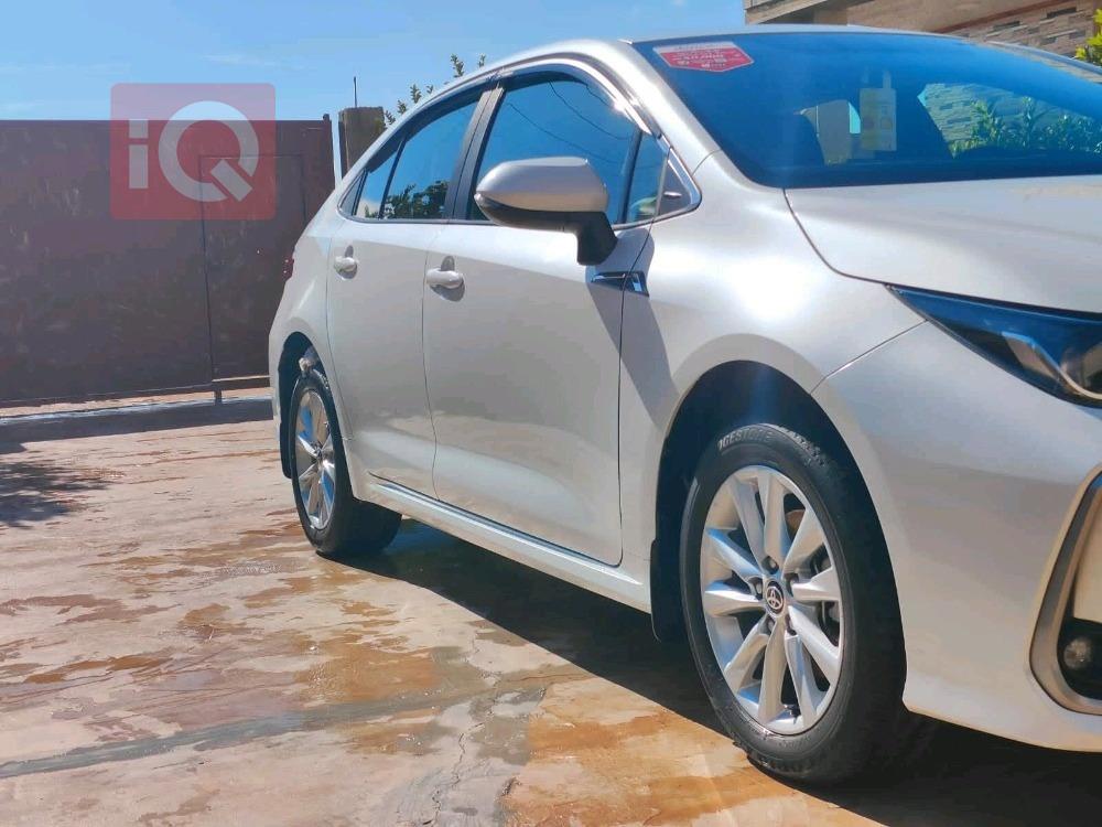 تويوتا كورولا